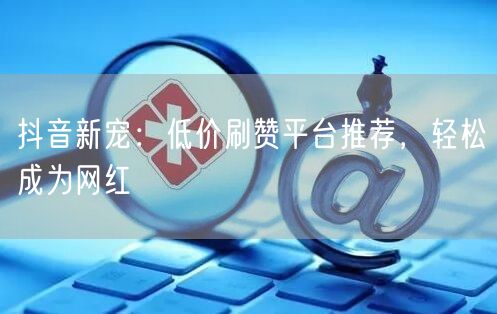 抖音新宠：低价刷赞平台推荐，轻松成为网红