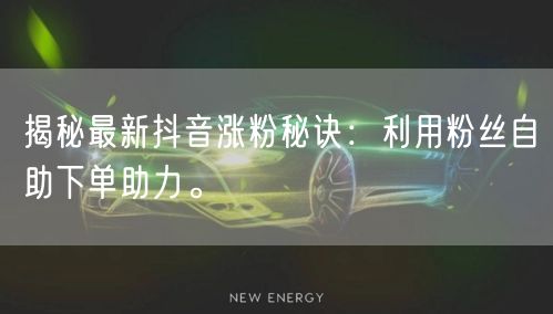 揭秘最新抖音涨粉秘诀:利用粉丝自助下单助力。