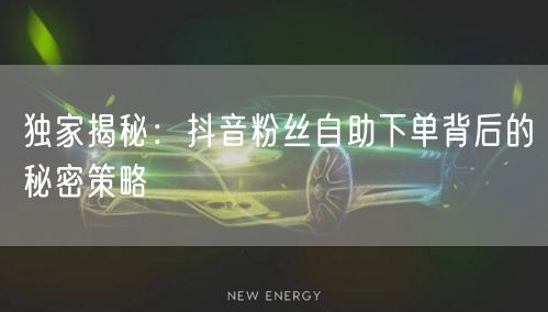 独家揭秘：抖音粉丝自助下单背后的秘密策略