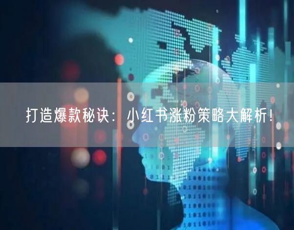 打造爆款秘诀：小红书涨粉策略大解析！