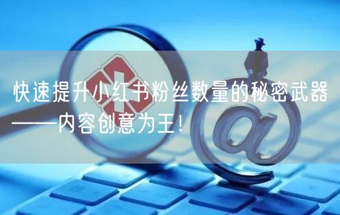快速提升小红书粉丝数量的秘密武器——内容创意为王！