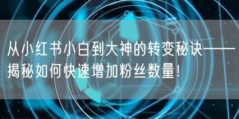 从小红书小白到大神的转变秘诀——揭秘如何快速增加粉丝数量！