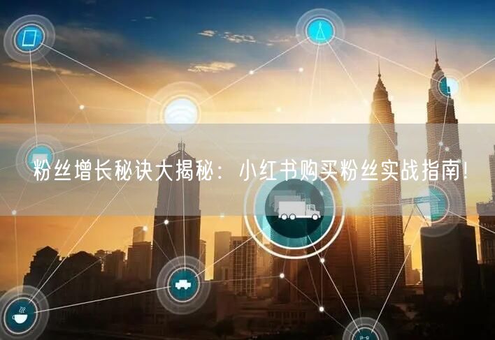 粉丝增长秘诀大揭秘：小红书购买粉丝实战指南！