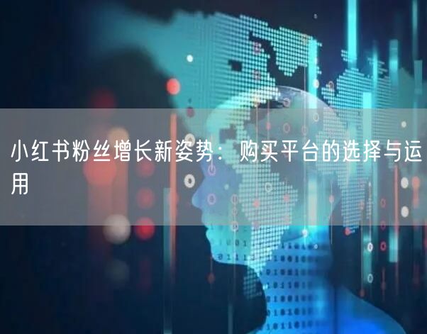 小红书粉丝增长新姿势：购买平台的选择与运用