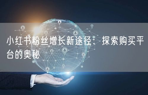 小红书粉丝增长新途径：探索购买平台的奥秘