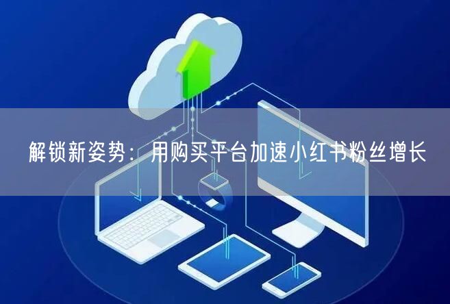 解锁新姿势：用购买平台加速小红书粉丝增长