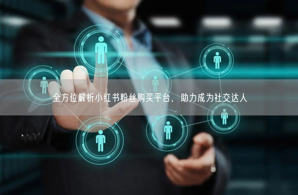 全方位解析小红书粉丝购买平台，助力成为社交达人
