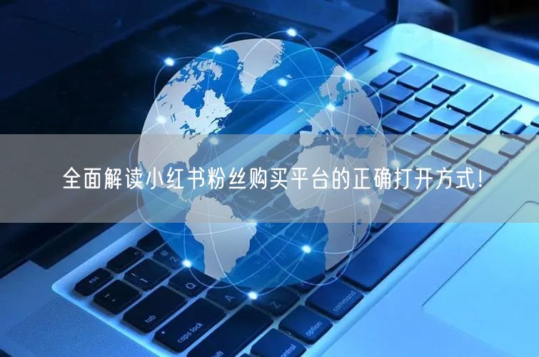 全面解读小红书粉丝购买平台的正确打开方式！