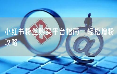 小红书粉丝购买平台指南：轻松增粉攻略