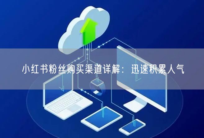 小红书粉丝购买渠道详解：迅速积累人气