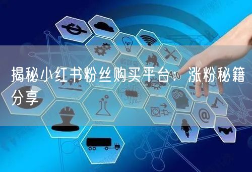 揭秘小红书粉丝购买平台：涨粉秘籍分享