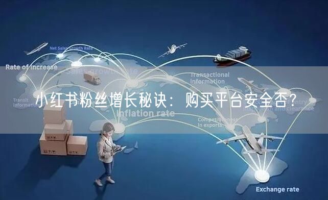 小红书粉丝增长秘诀：购买平台安全否？