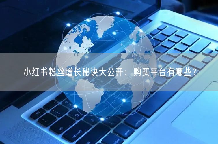 小红书粉丝增长秘诀大公开：购买平台有哪些？