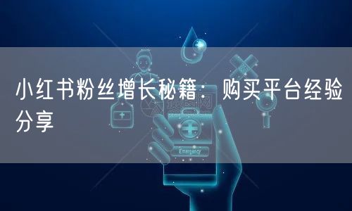 小红书粉丝增长秘籍：购买平台经验分享