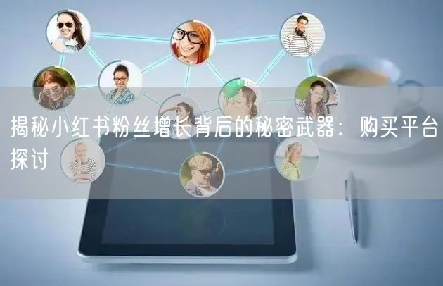 揭秘小红书粉丝增长背后的秘密武器：购买平台探讨