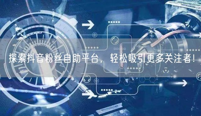 探索抖音粉丝自助平台，轻松吸引更多关注者！