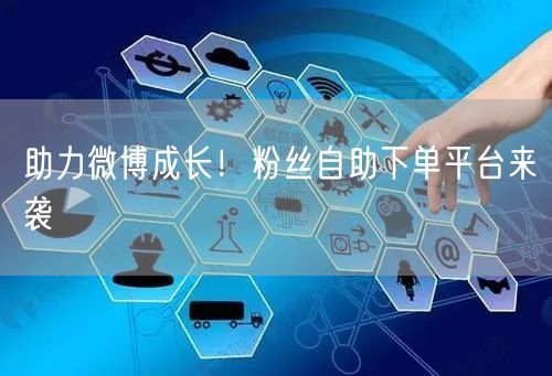 助力微博成长！粉丝自助下单平台来袭