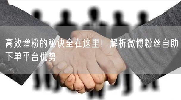 高效增粉的秘诀全在这里！解析微博粉丝自助下单平台优势