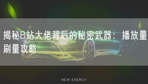 揭秘B站大佬背后的秘密武器：播放量刷量攻略