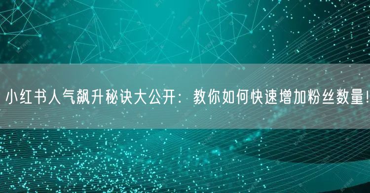 小红书人气飙升秘诀大公开：教你如何快速增加粉丝数量！