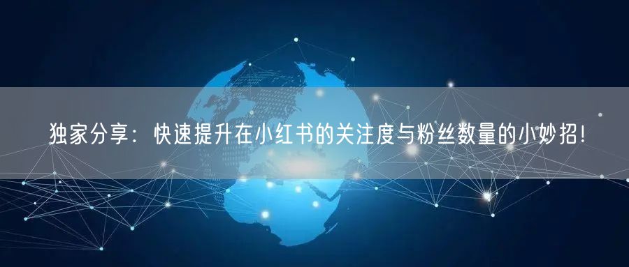 独家分享：快速提升在小红书的关注度与粉丝数量的小妙招！