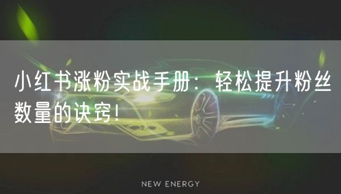 小红书涨粉实战手册：轻松提升粉丝数量的诀窍！
