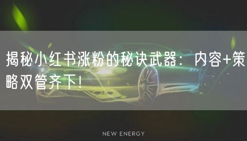 揭秘小红书涨粉的秘诀武器：内容+策略双管齐下！