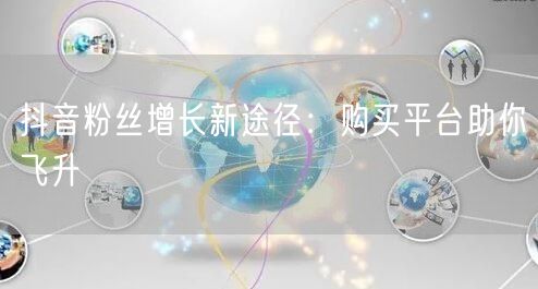 抖音粉丝增长新途径：购买平台助你飞升