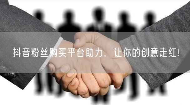 抖音粉丝购买平台助力，让你的创意走红!