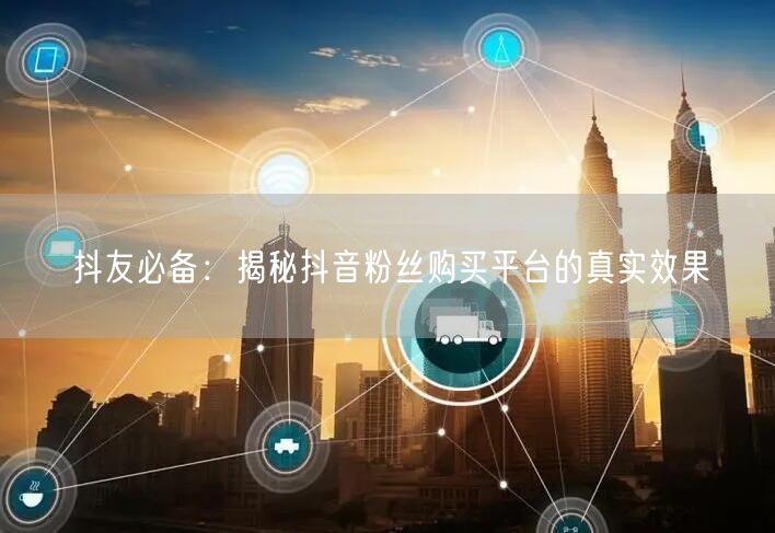 抖友必备：揭秘抖音粉丝购买平台的真实效果
