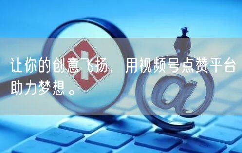 让你的创意飞扬，用视频号点赞平台助力梦想。