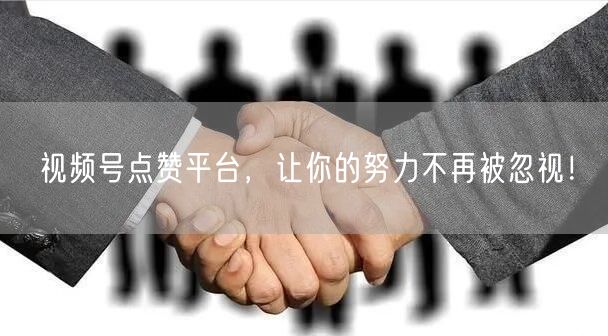 视频号点赞平台，让你的努力不再被忽视！