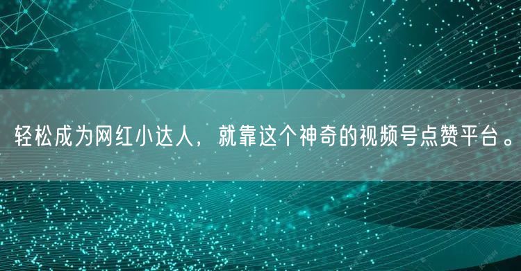轻松成为网红小达人，就靠这个神奇的视频号点赞平台。