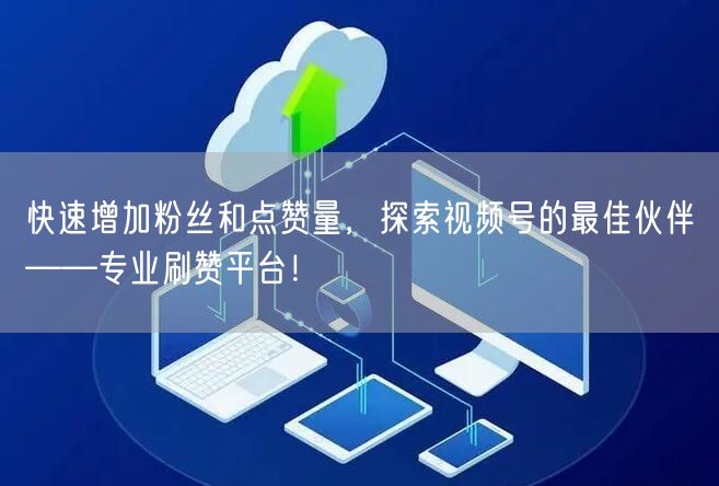 快速增加粉丝和点赞量，探索视频号的最佳伙伴——专业刷赞平台！