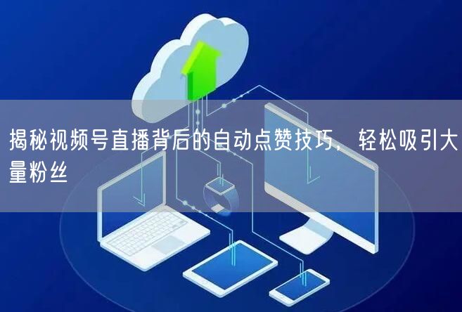 揭秘视频号直播背后的自动点赞技巧，轻松吸引大量粉丝
