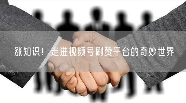 涨知识！走进视频号刷赞平台的奇妙世界