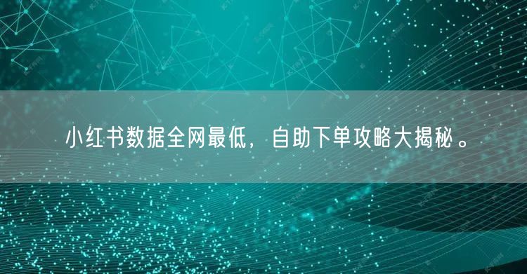 小红书数据全网最低，自助下单攻略大揭秘。