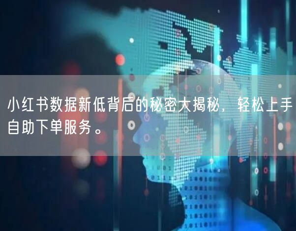 小红书数据新低背后的秘密大揭秘，轻松上手自助下单服务。